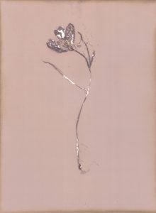 Chimigramme