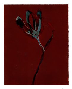 Scan-MARS26 0